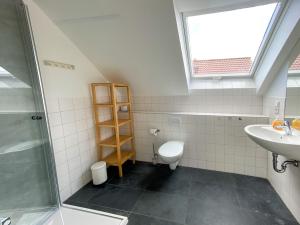 a bathroom with a toilet and a sink at Gruppenunterkunft Wiesengeflüster S2 mit Wiesenblick, Sauna und Kamin in Röbel