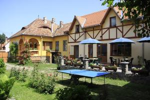 a house with a table tennis court in the yard at Pensiunea Bendorfeanu in Răşinari