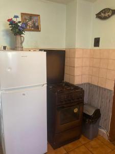a kitchen with a white refrigerator and an oven at Rekreační chata Hradištko in Hradišťko