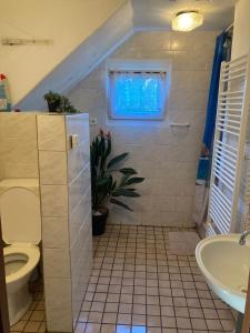 a bathroom with a toilet and a sink at Rekreační chata Hradištko in Hradišťko