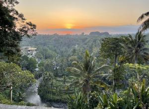 a view of a tropical forest at sunset at Bali Maison in Ubud