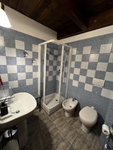 ein Bad mit einer Dusche, einem WC und einem Waschbecken in der Unterkunft Chalet Edelweiss - Estella Hotel Collection in Sestriere