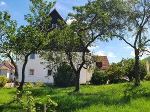 ein weißes Haus mit Bäumen im Gras in der Unterkunft Landgasthof Lamm Ferienwohnungen in Burladingen