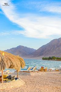 Příroda nedaleko kempu