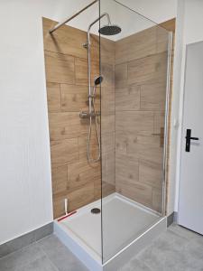 a shower with a glass enclosure in a bathroom at Apartamenty HARDOM in Opole