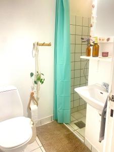 La salle de bains est pourvue de toilettes et d'un lavabo. dans l'établissement En lille hel lejlighed i midtbyen - centralt, hyggelig og tæt på alt!, à Randers