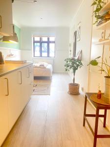 uma cozinha e sala de estar com uma mesa e uma cama em En lille hel lejlighed i midtbyen - centralt, hyggelig og tæt på alt! em Randers