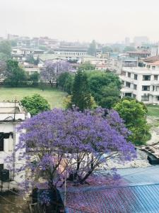 a purple tree in front of a city at Hotel Maya Boutique and Apartment, Thamel in Kathmandu