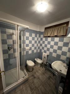 a bathroom with a shower and a toilet and a sink at Chalet Edelweiss - Estella Hotel Collection in Sestriere +108 photos