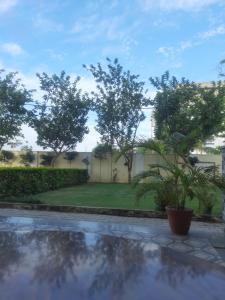 加雅K D Homestay的相册照片