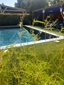 a swimming pool in a yard with grass at Hôtel Les Alizés in Puget-Théniers