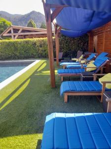 - une rangée de chaises longues bleues à côté de la piscine dans l'établissement Hôtel Les Alizés, à Puget-Théniers