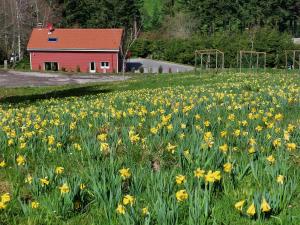 Vonkajšia záhrada v ubytovaní Gîte de Montagne "Les Ecorces"