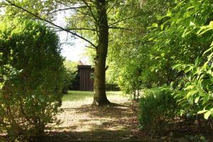 a garden with trees and a building in the distance at Haus Theene in Südbrookmerland
