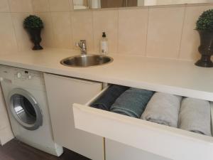 een badkamer met een wastafel en een wasmachine bij Yerseke Maarten & Hanh in Yerseke