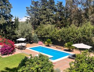 een bovenaanzicht van een zwembad in een tuin bij Arriba stijlvol appartement met zwembad en tuin in Conil de la Frontera