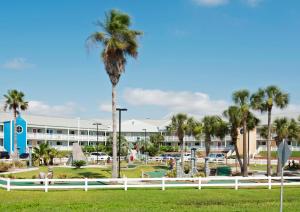 un palmier dans un parc en face d'un hôtel dans l'établissement Inn at the Waterpark, à Galveston