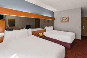 Postel nebo postele na pokoji v ubytování Econo Lodge Inn & Suites Mesquite - Dallas East
