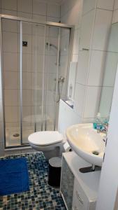 Un baño con ducha, inodoro y lavabo. en Ferienhaus Klönstieg, en Maasholm
