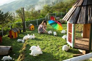Zahrada ubytování O Châu Homestay Lào Cai + 27 fotografií