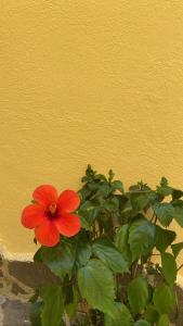 Gallery image of B&B Le Cinque Porte in Fisciano