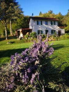 a bush of purple flowers in front of a house at La rosa sul lago in Osiglia