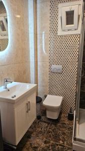 La salle de bains est pourvue d'un lavabo, de toilettes et d'une douche. dans l'établissement Menar, à Istanbul