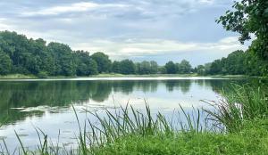 vistas a un lago con árboles en el fondo en Resilienz und Entspannung pur! Neue LODGE am See - ideal für Gruppen und Familien, en Mustin