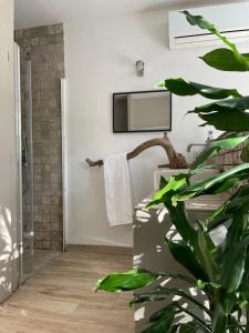 baño con TV en la pared y planta en La Canopée Private Lodge en Nimes