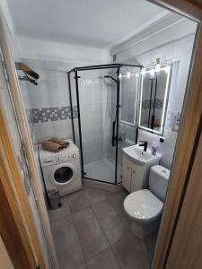 a bathroom with a shower and a toilet and a sink at Studio 2 Apartment in Ełk