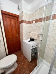 a bathroom with a toilet and a shower at Meszlényi Apartman II in Pécs