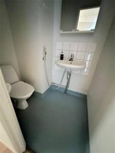 Koupelna v ubytování Kotimaailma - Kalustettu kolmio rauhallisella alueella Espoossa