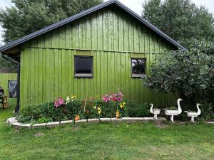 a green building with a garden with flowers and swans at Zamieszkaj na wsi blisko Warszawy in Borucza