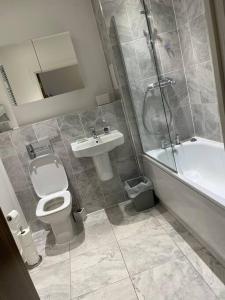 a bathroom with a toilet and a sink and a shower at Flat in the Heart of Chelmsford in Chelmsford