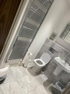 a bathroom with a toilet and a sink at Flat in the Heart of Chelmsford in Chelmsford