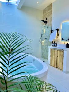 a bathroom with a tub and a plant at Vila Ser tão zen in Tibau do Sul