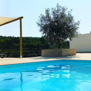 une piscine bleue avec un arbre en arrière-plan dans l'établissement Quinta das Reveladas, à Marvão