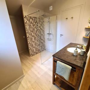 La salle de bains est pourvue d'une douche, d'un lavabo et d'un lavabo. dans l'établissement Mazet indépendant pour 2 personnes à St Rémy, à Saint-Rémy-de-Provence