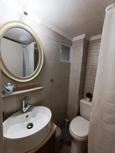 y baño con lavabo, aseo y espejo. en Εξοχική κατοικία στα Μαστιχοχώρια Χίου, en Chios