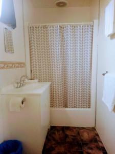 a bathroom with a shower curtain and a sink at Rock’s Retreat - cabin 1 (seal) in Carpenter Rocks