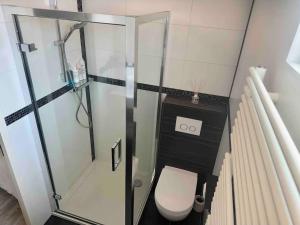 a small bathroom with a shower and a toilet at Zaandam Cottage Centre - Zaanse Schans Amsterdam in Zaandam