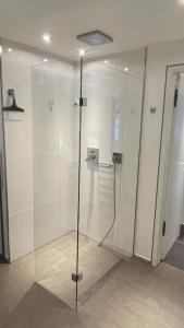 a shower with a glass door in a bathroom at Event-Ferienwohnung in Kastellaun