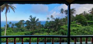 Principe的住宿－Casa Mãe - Inn，从阳台可欣赏到大海和棕榈树的景色