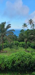 Φυσικό τοπίο κοντά σε αυτή η παραθεριστική κατοικία +12 φωτογραφίες