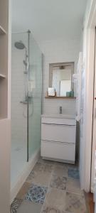 a bathroom with a shower and a sink and a mirror at Appartement Cosy, proche centre-ville in Quimper