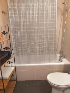 a bathroom with a shower curtain and a toilet at Apartamento Err in Err +9 photos