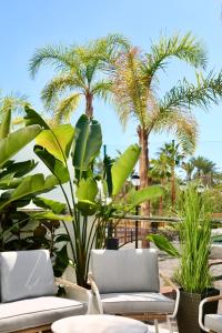 A garden outside Aguacate Beach Apartamentos Playa Granada