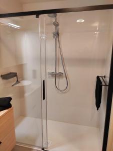 a shower with a glass door in a bathroom at Sea-LeVel in Ostend