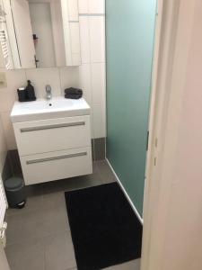 een kleine badkamer met een witte wastafel en een zwart tapijt bij Appartement Wouters in Oostende