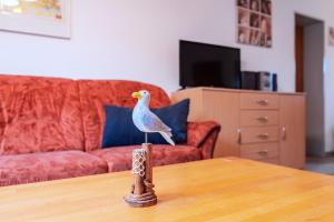 a bird sitting on top of a table in a living room at Am Deich 40 in Zingst